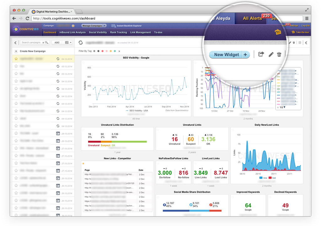 cognitiveSEO Dashboard