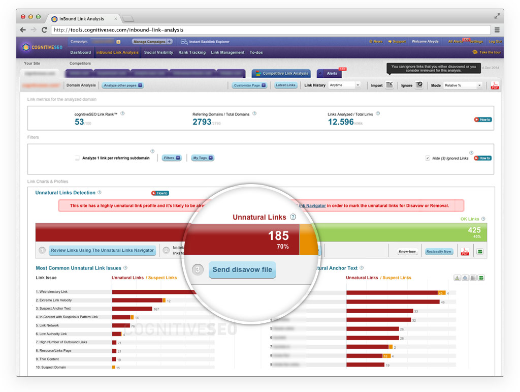 cognitiveSEO inBound Link Analysis