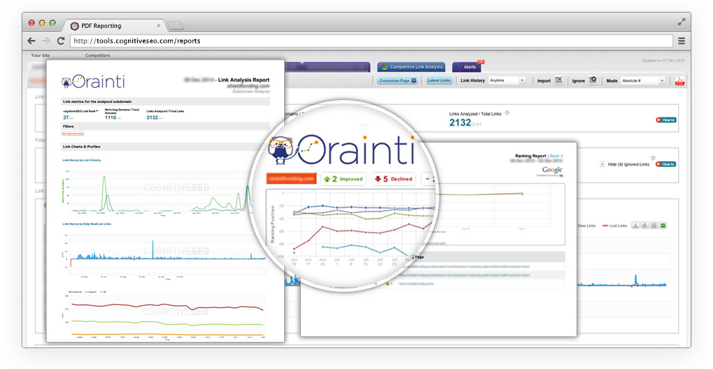 cognitiveSEO Customized PDF Report