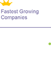 Deloitte Award